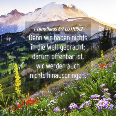 Picture 04 - 1 Timotheus 6:7 LUTH1912 - Denn wir haben nichts in die Welt gebracht; darum - Bible Verse Picture