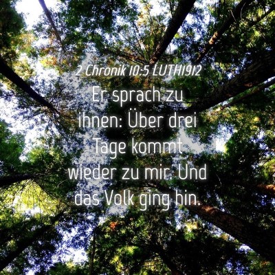 Picture 04 - 2 Chronik 10:5 LUTH1912 - Er sprach zu ihnen: Über drei Tage kommt wieder - Bible Verse Picture