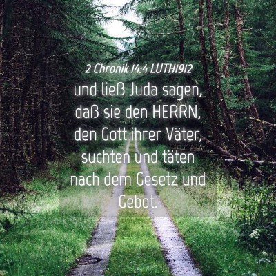 Picture 04 - 2 Chronik 14:4 LUTH1912 - und ließ Juda sagen, daß sie den HERRN, den - Bible Verse Picture