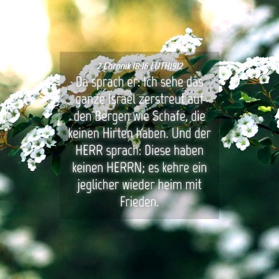 Picture 04 - 2 Chronik 18:16 LUTH1912 - Da sprach er: Ich sehe das ganze Israel zerstreut - Bible Verse Picture