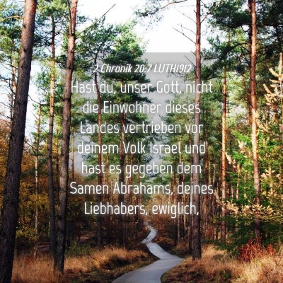 Picture 04 - 2 Chronik 20:7 LUTH1912 - Hast du, unser Gott, nicht die Einwohner dieses - Bible Verse Picture
