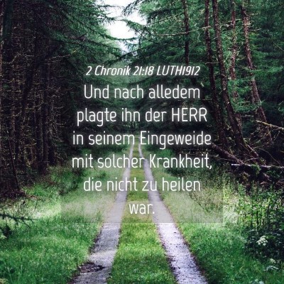 Picture 04 - 2 Chronik 21:18 LUTH1912 - Und nach alledem plagte ihn der HERR in seinem - Bible Verse Picture