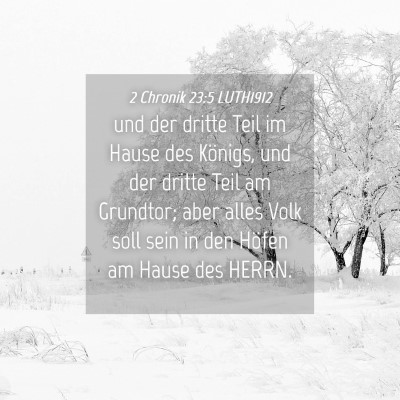 Picture 04 - 2 Chronik 23:5 LUTH1912 - und der dritte Teil im Hause des Königs, und der - Bible Verse Picture