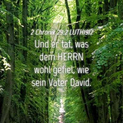 Picture 04 - 2 Chronik 29:2 LUTH1912 - Und er tat, was dem HERRN wohl gefiel, wie sein - Bible Verse Picture