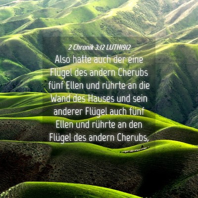 Picture 04 - 2 Chronik 3:12 LUTH1912 - Also hatte auch der eine Flügel des andern - Bible Verse Picture