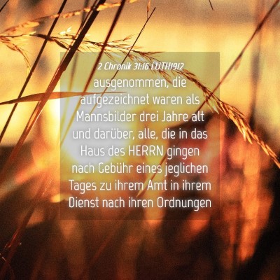 Picture 04 - 2 Chronik 31:16 LUTH1912 - ausgenommen, die aufgezeichnet waren als - Bible Verse Picture