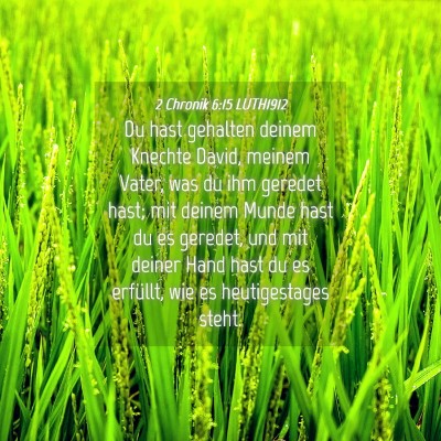 Picture 04 - 2 Chronik 6:15 LUTH1912 - Du hast gehalten deinem Knechte David, meinem - Bible Verse Picture