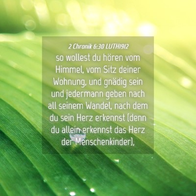 Picture 04 - 2 Chronik 6:30 LUTH1912 - so wollest du hören vom Himmel, vom Sitz deiner - Bible Verse Picture