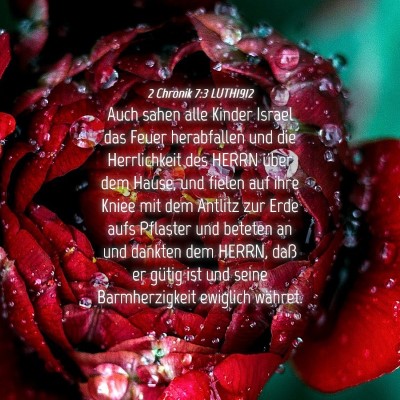 Picture 04 - 2 Chronik 7:3 LUTH1912 - Auch sahen alle Kinder Israel das Feuer - Bible Verse Picture