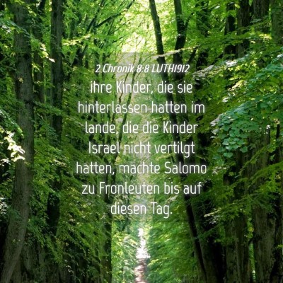 Picture 04 - 2 Chronik 8:8 LUTH1912 - ihre Kinder, die sie hinterlassen hatten im - Bible Verse Picture