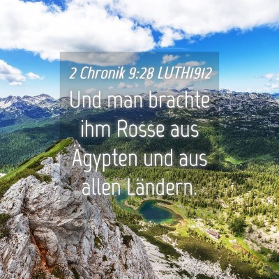 Picture 04 - 2 Chronik 9:28 LUTH1912 - Und man brachte ihm Rosse aus Ägypten und aus - Bible Verse Picture