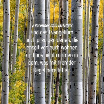 Picture 04 - 2 Korinther 10:16 LUTH1912 - und das Evangelium auch predigen denen, die - Bible Verse Picture
