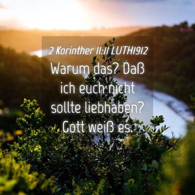 Picture 04 - 2 Korinther 11:11 LUTH1912 - Warum das? Daß ich euch nicht sollte liebhaben? - Bible Verse Picture