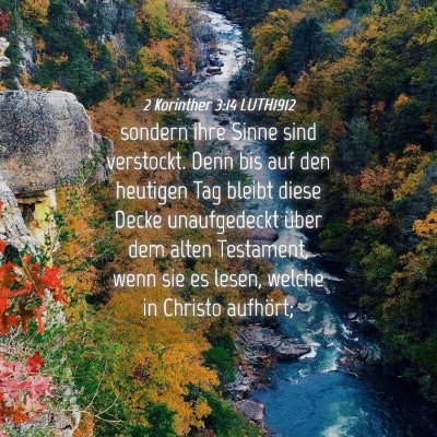 Picture 04 - 2 Korinther 3:14 LUTH1912 - sondern ihre Sinne sind verstockt. Denn bis auf - Bible Verse Picture