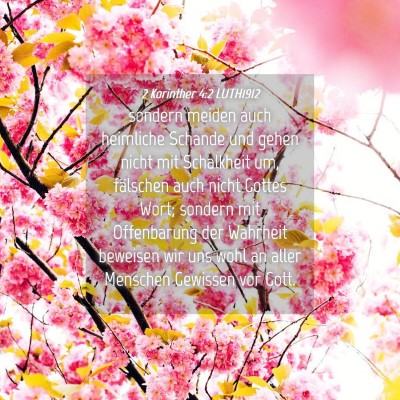Picture 04 - 2 Korinther 4:2 LUTH1912 - sondern meiden auch heimliche Schande und gehen - Bible Verse Picture