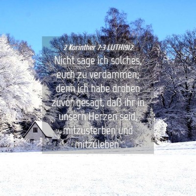 Picture 04 - 2 Korinther 7:3 LUTH1912 - Nicht sage ich solches, euch zu verdammen; denn - Bible Verse Picture
