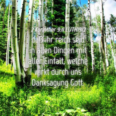 Picture 04 - 2 Korinther 9:11 LUTH1912 - daß ihr reich seid in allen Dingen mit aller - Bible Verse Picture