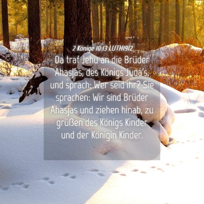Picture 04 - 2 Könige 10:13 LUTH1912 - Da traf Jehu an die Brüder Ahasjas, des Königs - Bible Verse Picture