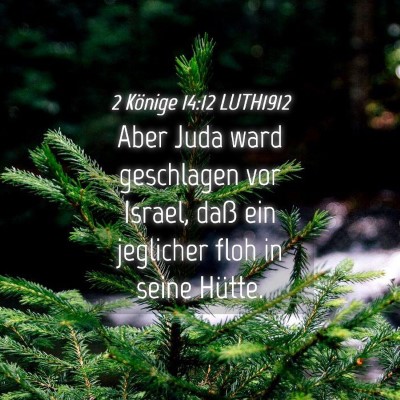 Picture 04 - 2 Könige 14:12 LUTH1912 - Aber Juda ward geschlagen vor Israel, daß ein - Bible Verse Picture