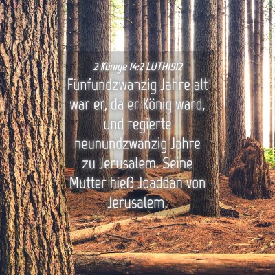 Picture 04 - 2 Könige 14:2 LUTH1912 - Fünfundzwanzig Jahre alt war er, da er König - Bible Verse Picture