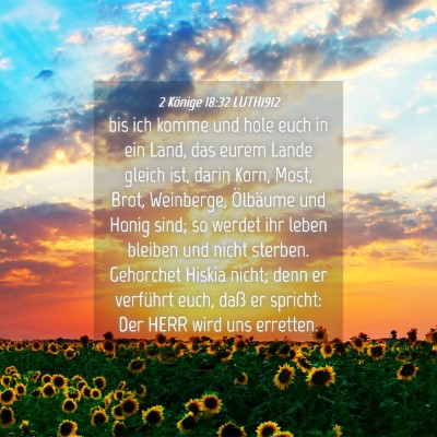Picture 04 - 2 Könige 18:32 LUTH1912 - bis ich komme und hole euch in ein Land, das - Bible Verse Picture