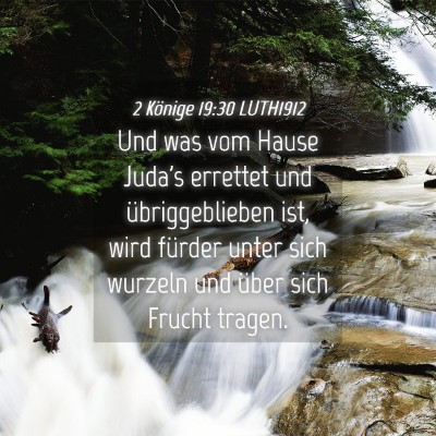 Picture 04 - 2 Könige 19:30 LUTH1912 - Und was vom Hause Juda's errettet und - Bible Verse Picture