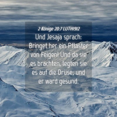 Picture 04 - 2 Könige 20:7 LUTH1912 - Und Jesaja sprach: Bringet her ein Pflaster von - Bible Verse Picture