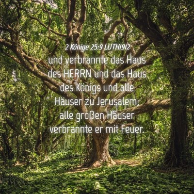 Picture 04 - 2 Könige 25:9 LUTH1912 - und verbrannte das Haus des HERRN und das Haus - Bible Verse Picture
