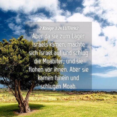 Picture 04 - 2 Könige 3:24 LUTH1912 - Aber da sie zum Lager Israels kamen, machte sich - Bible Verse Picture