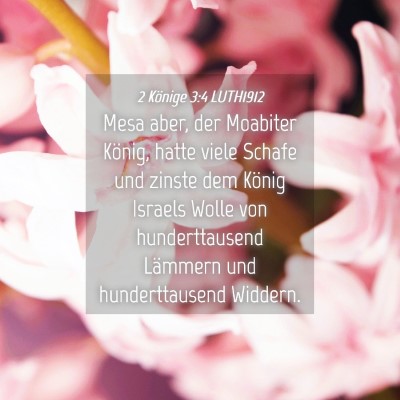 Picture 04 - 2 Könige 3:4 LUTH1912 - Mesa aber, der Moabiter König, hatte viele - Bible Verse Picture