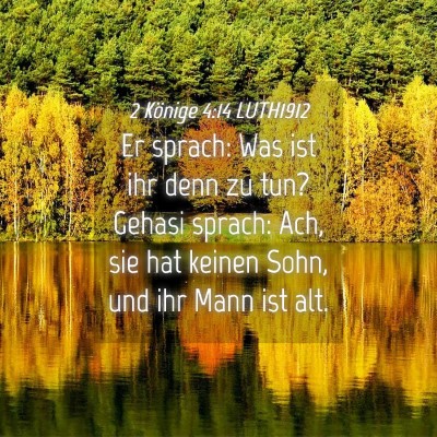 Picture 04 - 2 Könige 4:14 LUTH1912 - Er sprach: Was ist ihr denn zu tun? Gehasi - Bible Verse Picture