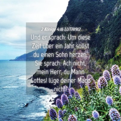 Picture 04 - 2 Könige 4:16 LUTH1912 - Und er sprach: Um diese Zeit über ein Jahr - Bible Verse Picture