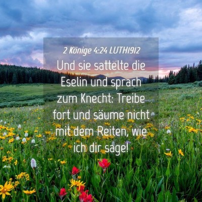 Picture 04 - 2 Könige 4:24 LUTH1912 - Und sie sattelte die Eselin und sprach zum - Bible Verse Picture