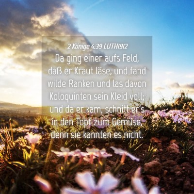 Picture 04 - 2 Könige 4:39 LUTH1912 - Da ging einer aufs Feld, daß er Kraut läse, und - Bible Verse Picture
