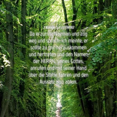 Picture 04 - 2 Könige 5:11 LUTH1912 - Da erzürnte Naeman und zog weg und sprach: Ich - Bible Verse Picture