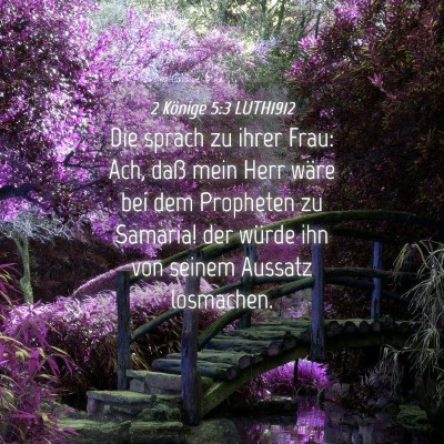 Picture 04 - 2 Könige 5:3 LUTH1912 - Die sprach zu ihrer Frau: Ach, daß mein Herr - Bible Verse Picture