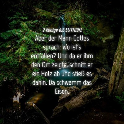Picture 04 - 2 Könige 6:6 LUTH1912 - Aber der Mann Gottes sprach: Wo ist's entfallen? - Bible Verse Picture