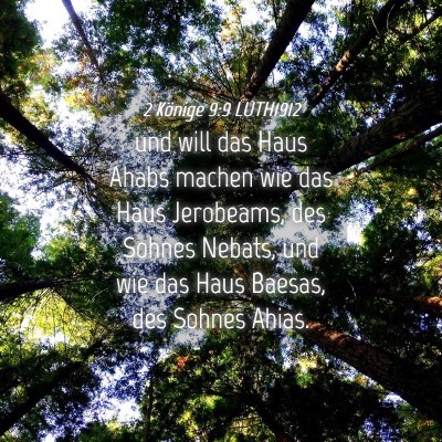 Picture 04 - 2 Könige 9:9 LUTH1912 - und will das Haus Ahabs machen wie das Haus - Bible Verse Picture