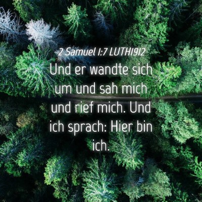Picture 04 - 2 Samuel 1:7 LUTH1912 - Und er wandte sich um und sah mich und rief mich. - Bible Verse Picture