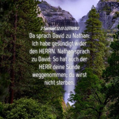 Picture 04 - 2 Samuel 12:13 LUTH1912 - Da sprach David zu Nathan: Ich habe gesündigt - Bible Verse Picture
