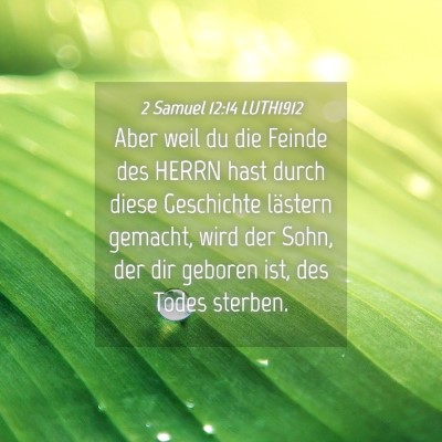 Picture 04 - 2 Samuel 12:14 LUTH1912 - Aber weil du die Feinde des HERRN hast durch - Bible Verse Picture
