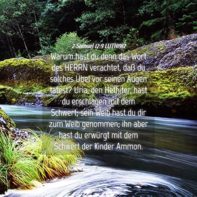 Picture 04 - 2 Samuel 12:9 LUTH1912 - Warum hast du denn das Wort des HERRN verachtet, - Bible Verse Picture