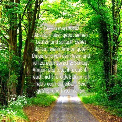 Picture 04 - 2 Samuel 13:28 LUTH1912 - Absalom aber gebot seinen Leuten und sprach: - Bible Verse Picture