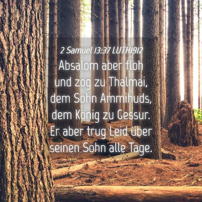 Picture 04 - 2 Samuel 13:37 LUTH1912 - Absalom aber floh und zog zu Thalmai, dem Sohn - Bible Verse Picture