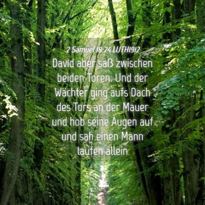 Picture 04 - 2 Samuel 18:24 LUTH1912 - David aber saß zwischen beiden Toren. Und der - Bible Verse Picture