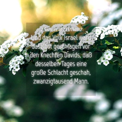 Picture 04 - 2 Samuel 18:7 LUTH1912 - Und das Volk Israel ward daselbst geschlagen vor - Bible Verse Picture