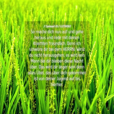 Picture 04 - 2 Samuel 19:7 LUTH1912 - So mache dich nun auf und gehe heraus und rede - Bible Verse Picture