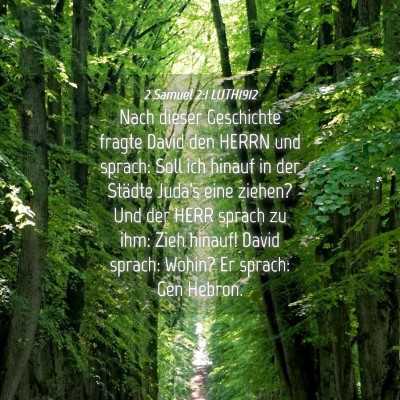 Picture 04 - 2 Samuel 2:1 LUTH1912 - Nach dieser Geschichte fragte David den HERRN und - Bible Verse Picture