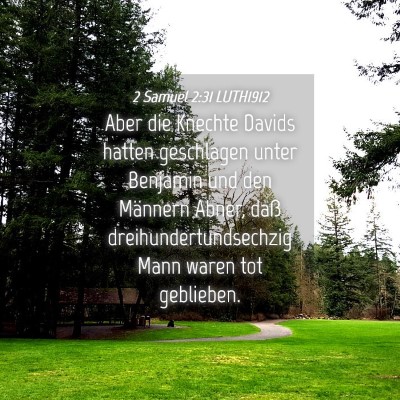 Picture 04 - 2 Samuel 2:31 LUTH1912 - Aber die Knechte Davids hatten geschlagen unter - Bible Verse Picture