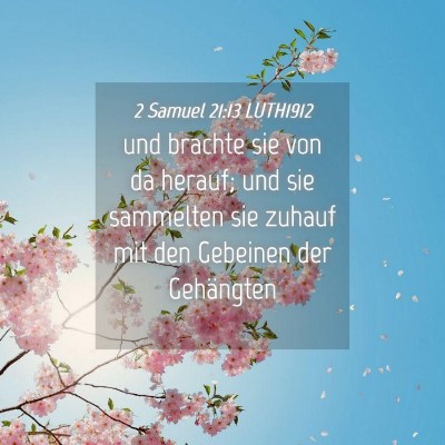 Picture 04 - 2 Samuel 21:13 LUTH1912 - und brachte sie von da herauf; und sie sammelten - Bible Verse Picture